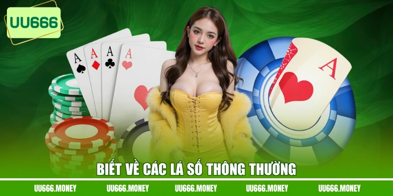 Biết về các lá số thông thường