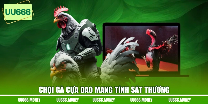 Chọi gà cựa dao mang tính sát thương