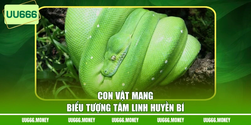 Con vật mang biểu tượng tâm linh huyền bí