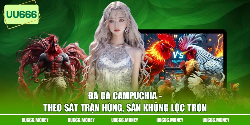 Đá Gà Campuchia - Theo Sát Trận Hùng, Săn Khủng Lộc Tròn