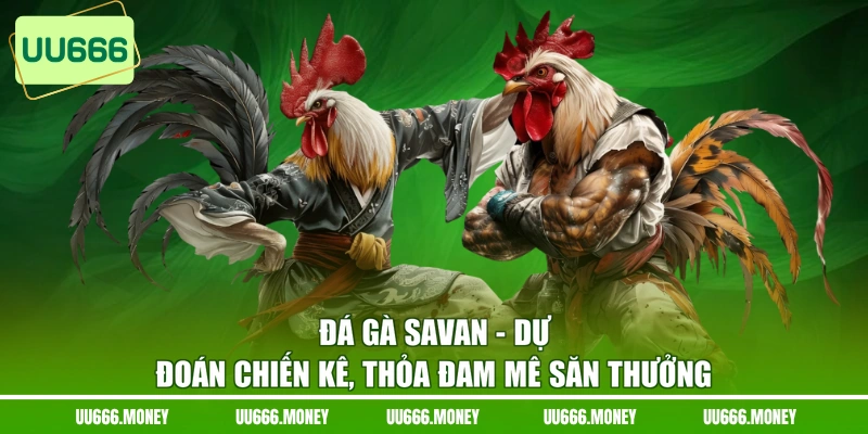 Đá Gà Savan - Dự Đoán Chiến Kê, Thỏa Đam Mê Săn Thưởng