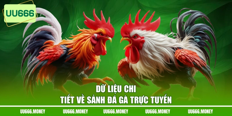 Dữ liệu chi tiết về sảnh đá gà trực tuyến