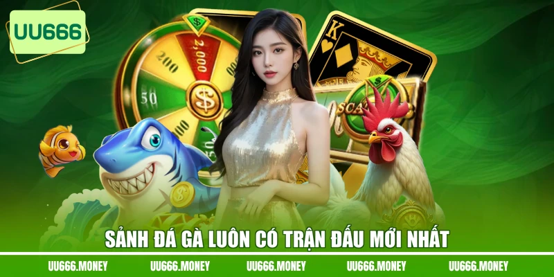 Sảnh đá gà luôn có trận đấu mới nhất