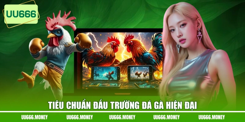 Tiêu chuẩn đấu trường đá gà hiện đại