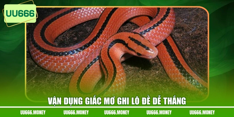 Vận dụng giấc mơ ghi lô đề dễ thắng