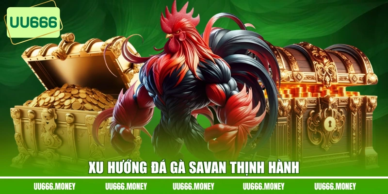 Xu hướng đá gà Savan thịnh hành