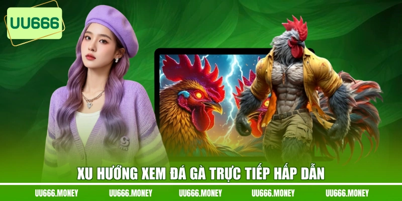 Xu hướng xem đá gà trực tiếp hấp dẫn